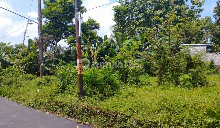 Tanah Pekarangan Jogja Sleman, LD 10 Meter, Siap Balik Nama 1