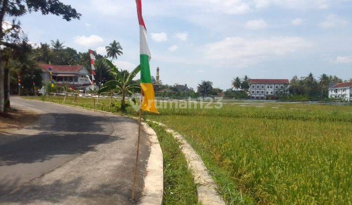 View Sawah 200 Jt an Tanah Dijual Sleman, 1 Menit Jl. Godean 2