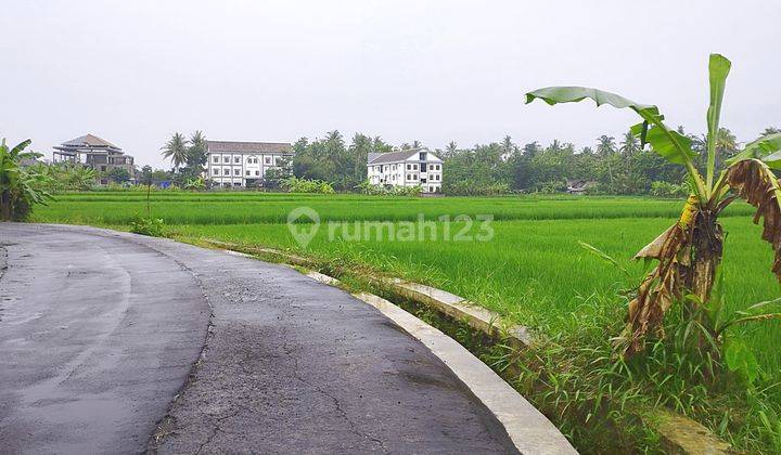 Tanah Moyudan, View Persawahan, Akad di Notaris 1