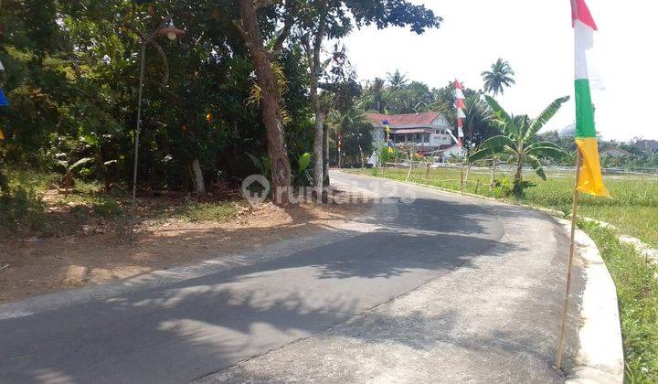 View Sawah 200 Jt an Tanah Dijual Sleman, 1 Menit Jl. Godean 1