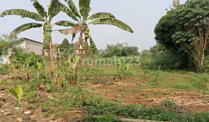 Harga Miring! Tanah Di Cisauk 4000m2