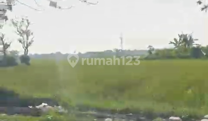 Tanah Sawah Dekat Rsud Cikelor Rengasdengklok Karawang Jawa Barat