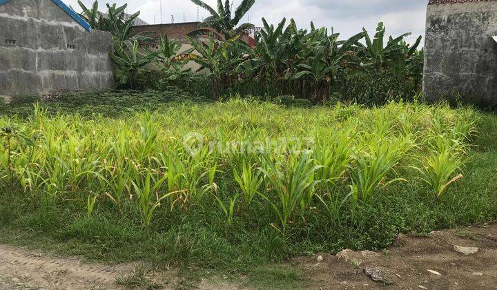Tanah Siap Bangun Prospek Hunian di Dukuhsalam Slawi, Tegal 120 m² 2