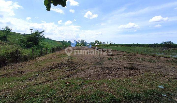 Tanah di Jl. Lengkong - Adiwerna Tegal, Tegal SHM 118 m² 1