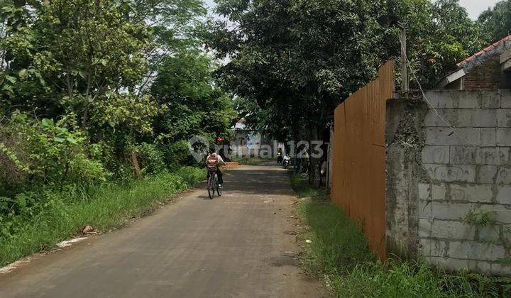 Tanah di Tarub, Tegal SHM 404 m² 1