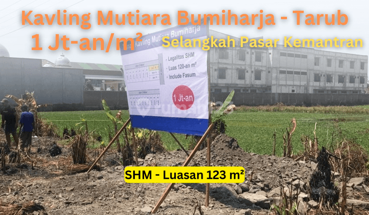 Kavling Mutiara Bumiharja Tarub Sudah Urug Nempel Jalan Utama 1