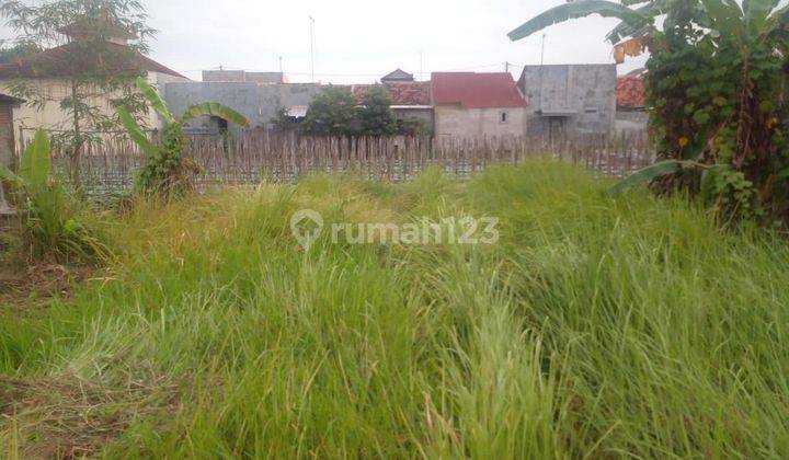 Tanah Kapling Murah Lokasi Jatibarang, Brebes Jawa Tengah  2