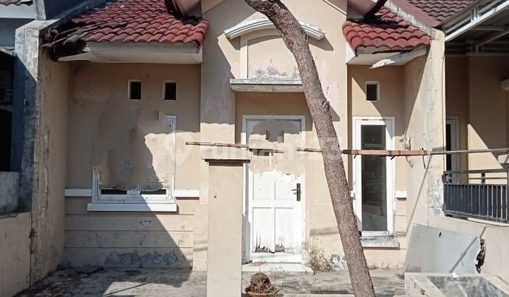 Murah, Bukit Palma, Surabaya Barat, Jawa Timur Murah, Bukit Palma, Surabaya Barat, Jawa Timur