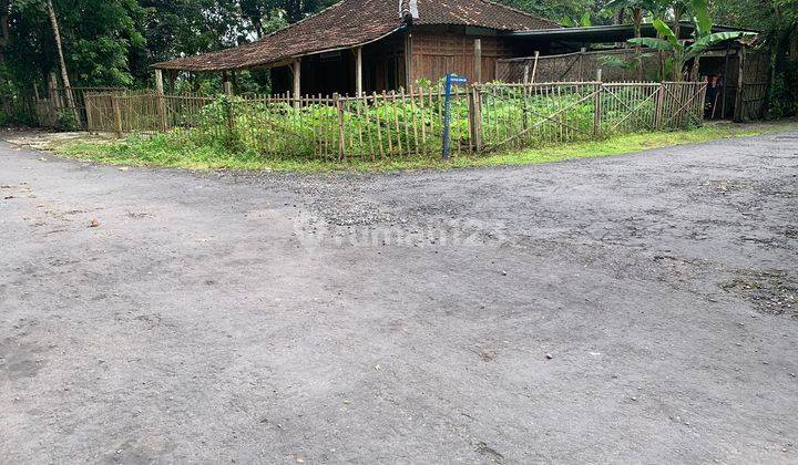 Tanah Di Wedomartani Mangku Jalan Aspal Desa 1