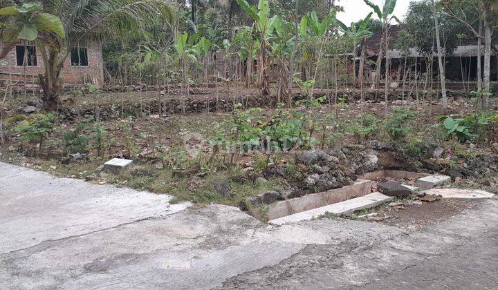 Tanah 138 m² SHM Pekarangan Dekat Rsud Wonosari 3