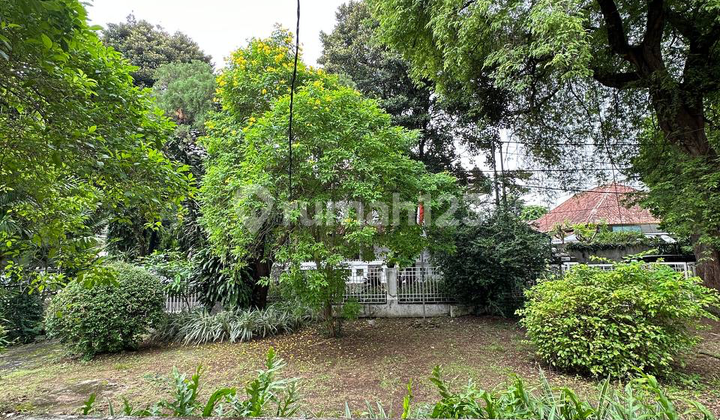 Dijual Rumah Halaman Luas di Menteng Lokasi Strategis 2