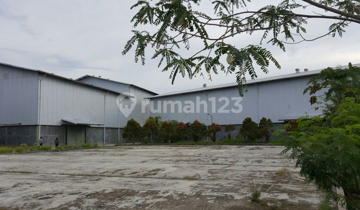 Affordable Large Warehouse 1.3 Hectares on Teluk Lada Street, Panimbang Affordable Large Warehouse 1.3 Hectares on Teluk Lada Street, Panimbang