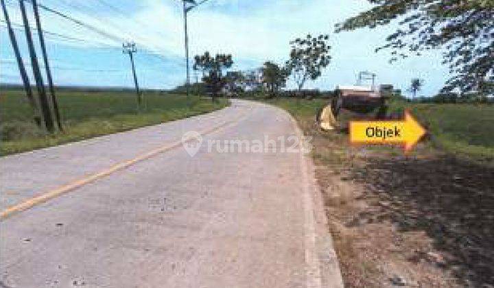 Jual Tanah Murah di Jalan Raya Tanjung Lesung Panimbang 2