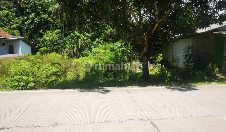 Tanah Murah Di Jl Raya Sobang Panimbang  2