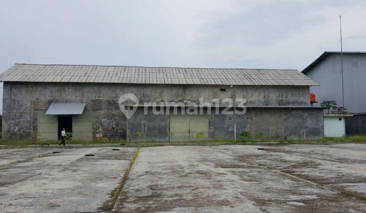 Affordable Large Warehouse 1.3 Hectares on Teluk Lada Street, Panimbang Affordable Large Warehouse 1.3 Hectares on Teluk Lada Street, Panimbang
