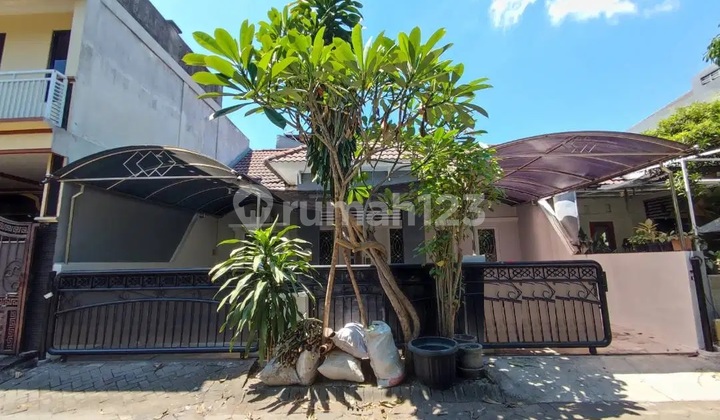 Rumah Second Palm Spring Siap Huni, Lingkungan Nyaman, Strategis Dekat Ketintang