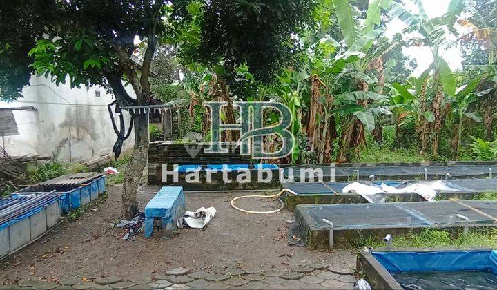 Rumah Dijual Area Ngadiluwih, Kediri Dekat Kampus Uniska Halaman Luas 3