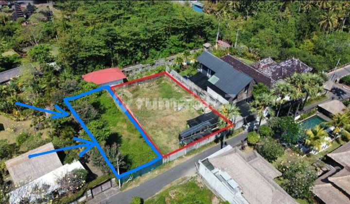 Jual Tanah Global Jalan Kaki ke Pantai Saba-Gianyar