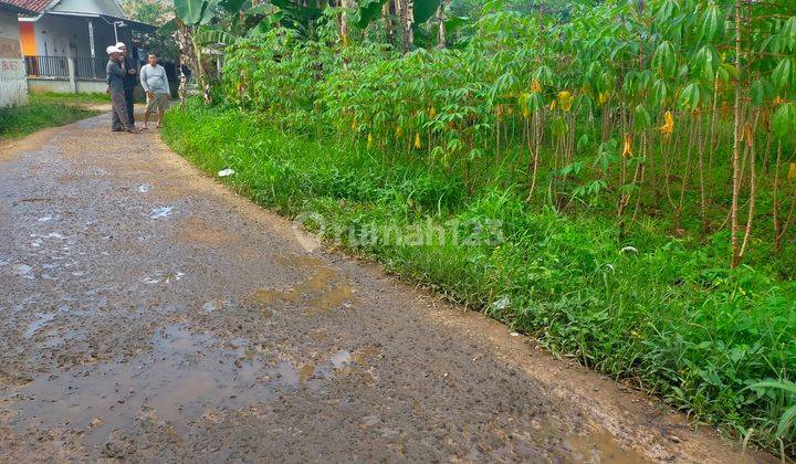 Tanah Termurah Tajur Halang, Sekitar Smp Tunas Harapan, Pasti Untung 20 Sd 25 Persen Per Tahun 2