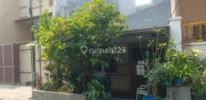 *dijual Rumah Murah Di Muara Karang  Jakarta Utara*

*rumah Tua Kondisi Bisa Tinggal / Bisa Juga Untuk Bangun Baru*

luas Tanah : 90m ( 6 X 15m )
luas Bangunan : 117m
1 1/2 Lantai
2 Kamar Tidur
1 Kamar Mandi
surat : Shm

*harga : 2,25 Miliar ( Nego )* 2