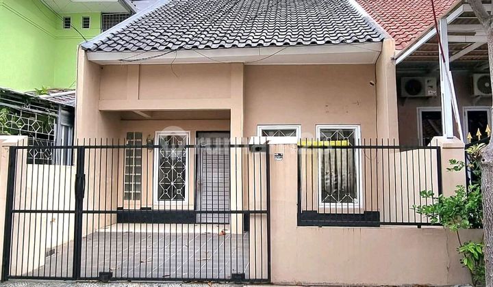  *disewakan*  *rumah Citra 3* ●uk 6 X 15 M²●lt 90 M²●1 1/2 Lantai ●unfurnished●3+1 Kt ●2 Km ●listrik 2200 Watt●carpot 1 Mobil ●air Wtp●tidak Boleh Utk Jualan Online● *minimal Sewa 2 Tahun* *110 Juta/2 Thn (nett)* *deposit : 5 Juta*  1