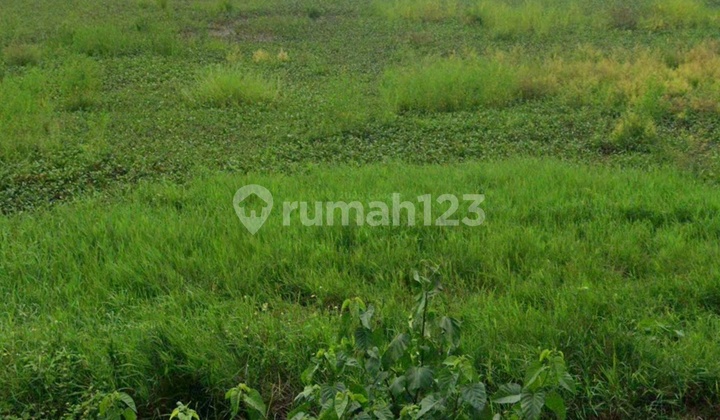 Dijual Cepat Dan Murah Tanah Di Jalan Raya Kemiri 2