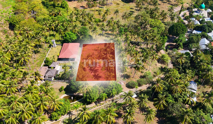 Tanah Dekat Pantai Raya Senggigi Pemenang Malaka Lombok