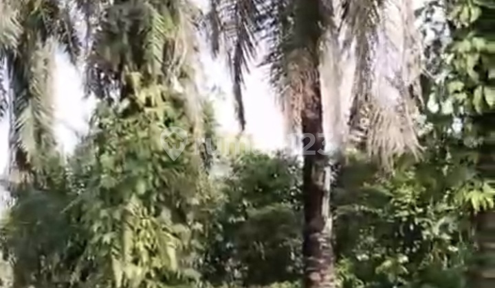 Luas 17X 74 Tanah Darat Kota Binjai