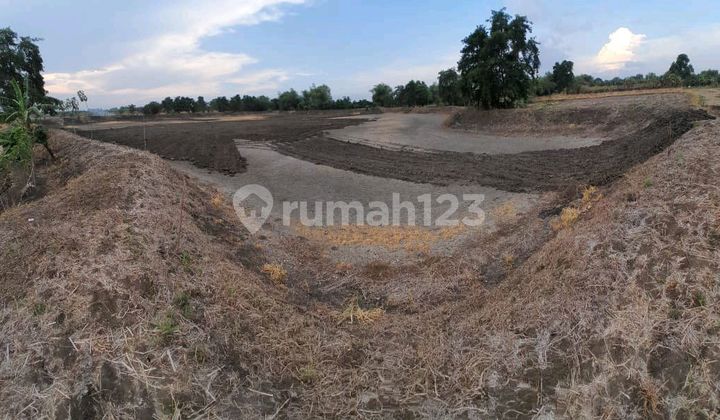 Tanah di Benjeng Gresik