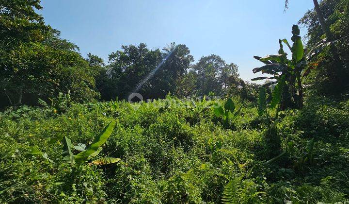 Tanah Luas Dekat Perumahan Besar, Cocok Untuk Mini Cluster Pd025 1