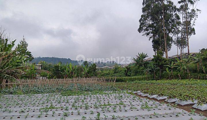 Jual Kavling di Cikole Lembang, Strategis 2