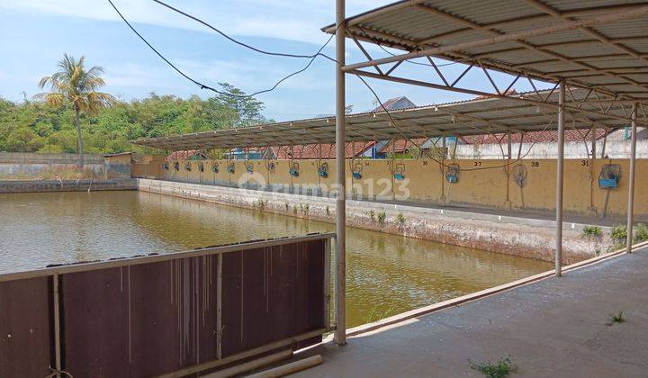 Jual Tanah Dan Kolam Ikan Di Majalaya 1