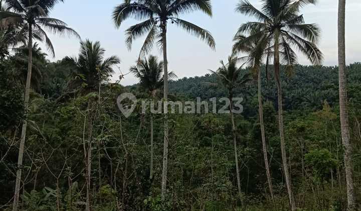 DIJUAL CEPAT TANAH MURAH DI BAWAH HARGA PASAR DI SUKABUMI DIJUAL CEPAT TANAH MURAH DI BAWAH HARGA PASAR DI SUKABUMI