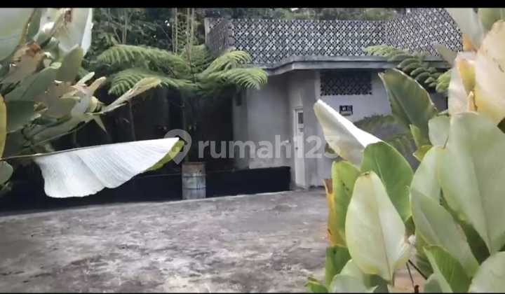DIJUAL RUMAH BAGUS DI BAWAH HARGA PASAR DI BALI  2