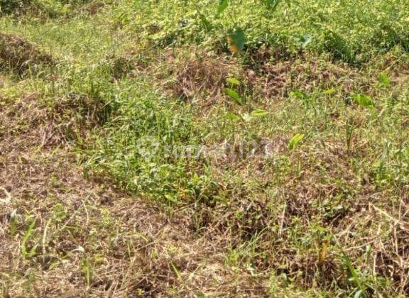 DIJUAL TANAH DIPINGGIR JALAN RAMAI BER SHM 1