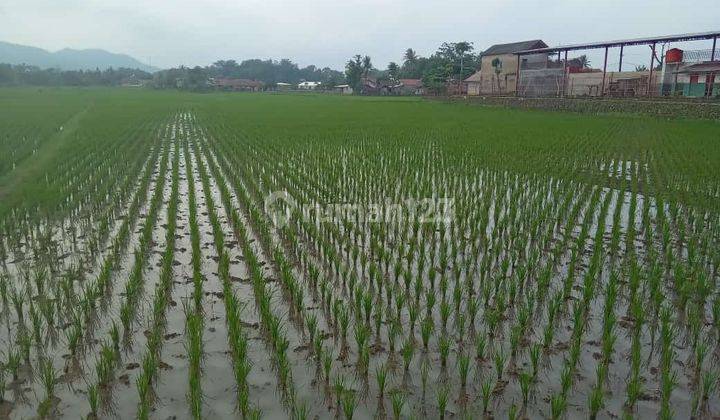 Di Jual Cepat Tanah di Cibeber Cianjur  1