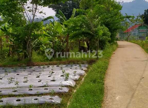 QUICK SALE OF LAND BY THE ROAD IN PUSPITEK