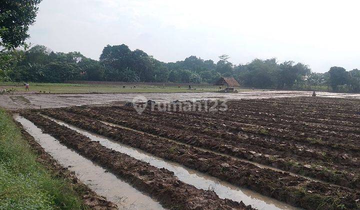 Dijual Cepat Tanah Murah Di Balaraja  2