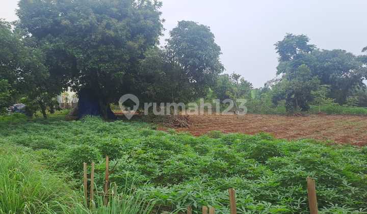 Dijual Cepat Tanah Strategis Murah di Pinggir Jalan Pamulang Dijual Cepat Tanah Strategis Murah di Pinggir Jalan Pamulang