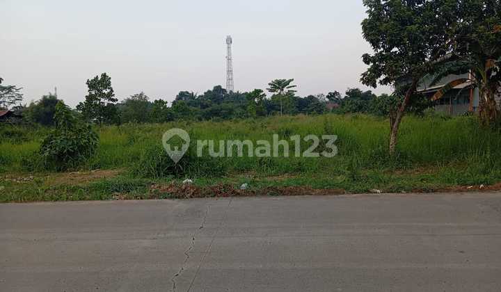 DIJUAL CEPAT TANAH MURAH DI TAJUR HALANG BOGOR DIJUAL CEPAT TANAH MURAH DI TAJUR HALANG BOGOR
