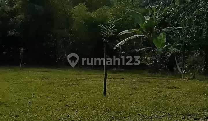 DIJUAL CEPAT TANAH DI BAWAH HARGA PASAR DI SUKABUMI