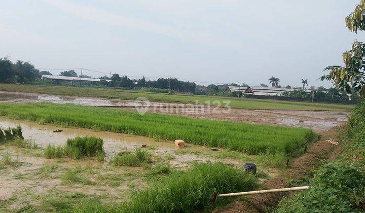 Dijual Cepat Tanah Murah Di Balaraja  1