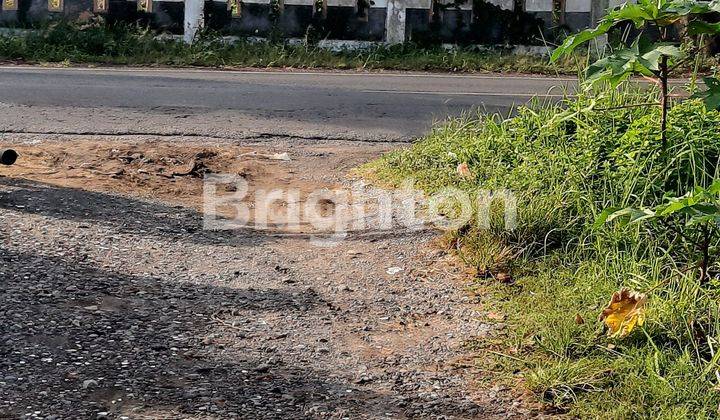 Tanah Di Jalan 0 Propinsi 1