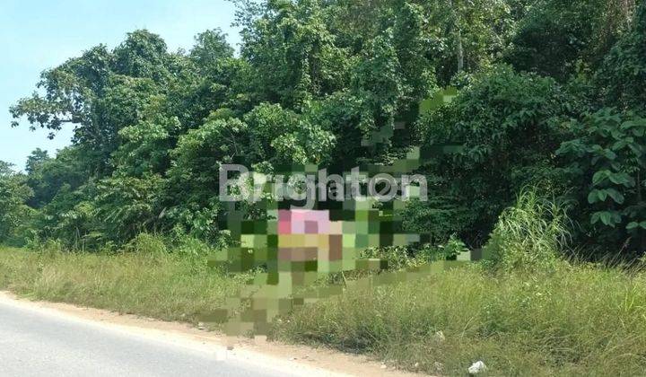 Jual tanah 3,5Ha  Lokasi strategis 1