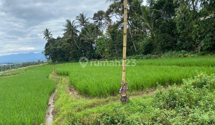 Dijual Tanah Dekat Tol Bocimi Cigombong Bogor SHM Aman  3