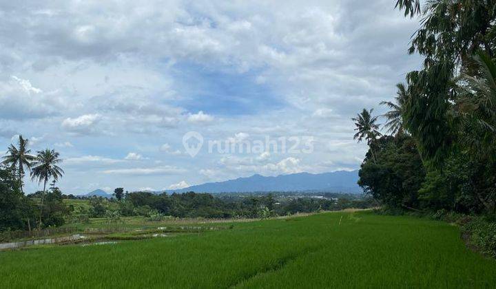 Jual Tanah Cigombong 15 Menit Stasiun Cigombong  2