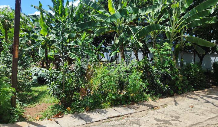 Dijual Tanah 4 Menit Ke Rs Graha Permata Ibu Legalitas SHM 2