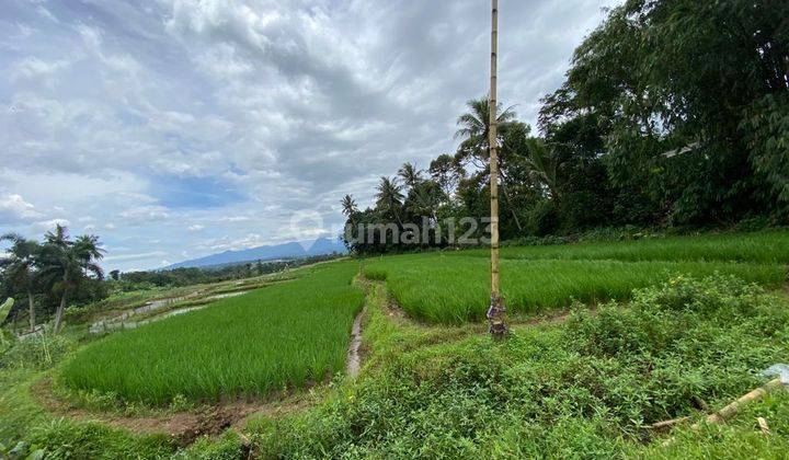 Dijual Tanah Akses Mobil Ke Exit Tol Bocimi 4