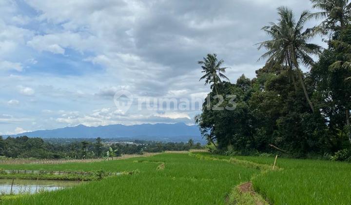 Dijual Tanah Cigombong Sukabumi Lingkungan Asri Cocok Bangun Pesantren 2