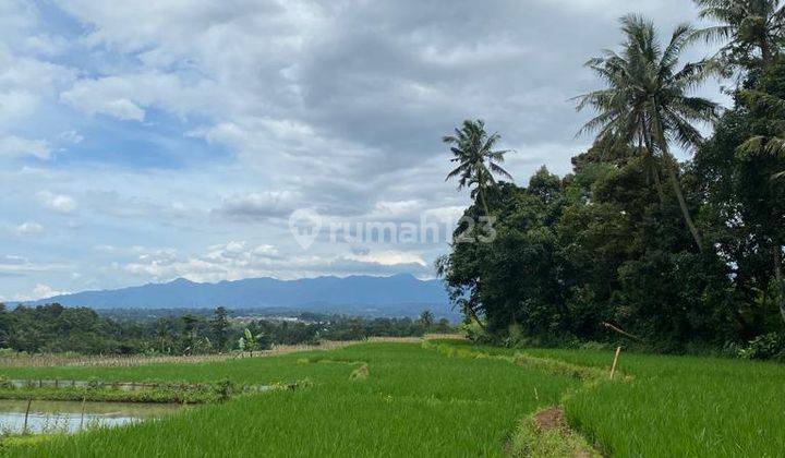 Dijual Tanah Cigombong Sukabumi Lingkungan Asri Cocok Bangun Pesantren 2